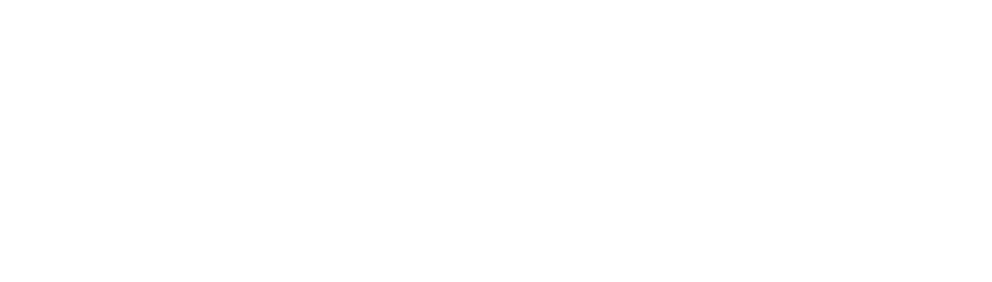 IML net logo white